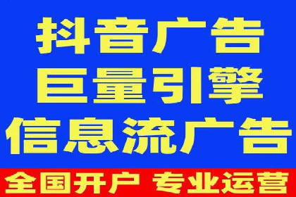 百度竞价广告的投放策略与成功案例分析
